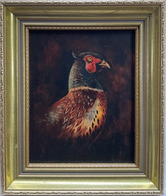 Lot 189 - English School, oil on board, Pheasant, 24 cm x 19cm, framed