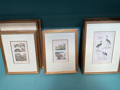 Lot 5118 - Group of 19th century coloured engravings of birds and other animals, including some after Buffon