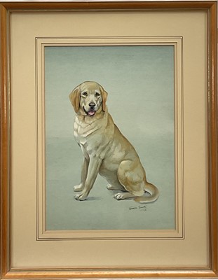 Lot 281 - Kenneth Smith, watercolour - Portrait of a Yellow Labrador, signed and dated '87, 38.5cm x 27cm, in glazed frame.
