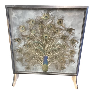 Lot 1415 - Unusual early 20th century fire screen mounted with a display of peacock feathers