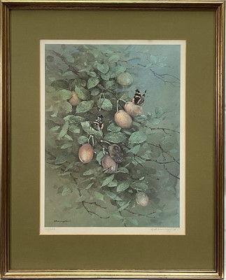 Lot 295 - Gordon Beningfield (1936-1998) signed limited edition print - Red Admiral on Plums, 27/500, 45cm x 34cm, in glazed gilt frame