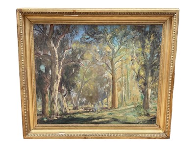Lot 304 - John (Jack) Salvana (1873-1956) oil on canvas - Gum Trees in Australian Woodland, signed and dated 1925, 68cm x 84cm, in gilt frame
