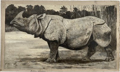 Lot 328 - Harry Dixon (1861-1942) monochrome oil on card - Indian Rhinoceros, signed, 23.5cm x 38.5cm, unframed