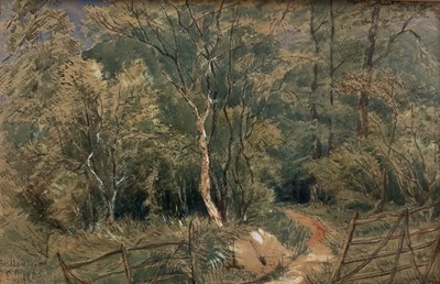 Lot 338 - English School, mid 19th century, pencil and watercolour - Fordham Wood, inscribed, dated 1855 and initialled, 16cm x 25cm, in glazed gilt frame