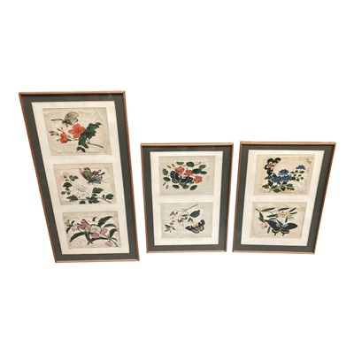 Lot 1193 - Group of seven antique Chinese rice paper paintings of butterflies and flowers housed in three frames