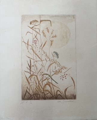 Lot 349 - Ota Janecek (Czech, 1919-1996), reeds and flowers, colour etching, signed, 24cm x 15.5cm