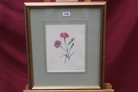 Lot 1149 - Susannah Blaxill (b. 1954), good quality...