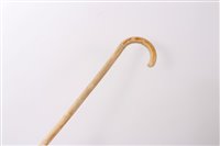 Lot 773 - 19th century pizzle walking stick, believed to...