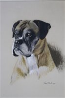 Lot 956 - Rex Flood (1928-2009) three pastel dog...