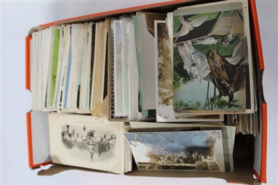 Lot 2452 - Collection of postcards