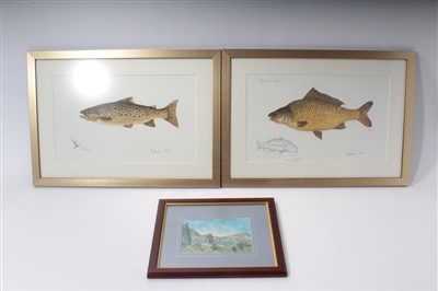Lot 90 - Sir Michael Tims K.C.V.O. - pair signed artist's proof prints of fish, in glazed frames and HRH The Prince of Wales print of Scottish landscape, in glazed frame (3)
