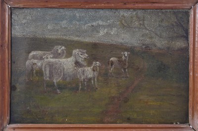 Lot 1150 - Late 19th century naive school oil on canvas - sheep on a hillside, indistinctly signed, framed, 20cm x 30cm