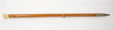 Lot 36 - Georgian malacca cane