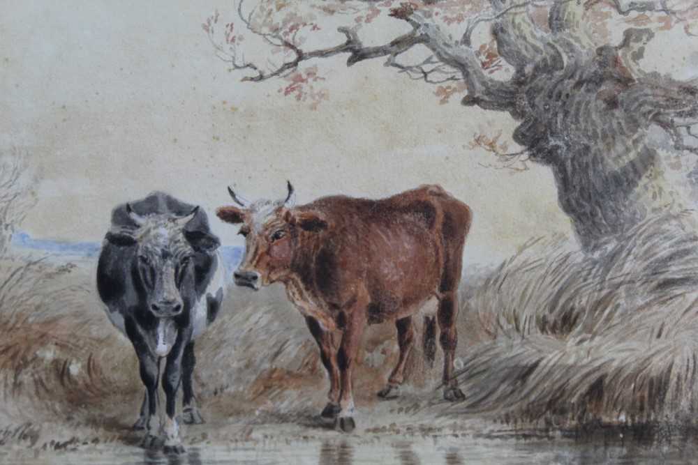 Lot 934 - Thomas Smythe watercolour cattle