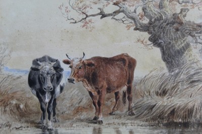 Lot 934 - Thomas Smythe watercolour cattle