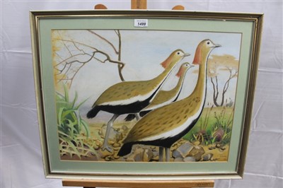 Lot 1499 - Keith Henderson (1883-1982) oil on board - three African Bustards, signed, in glazed frame, 41cm x 55cm 
 Provenance: The Rowley Gallery
