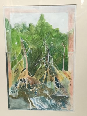 Lot 58 - John Doubleday watercolour - Mangroves, Cairns, in glazed frame