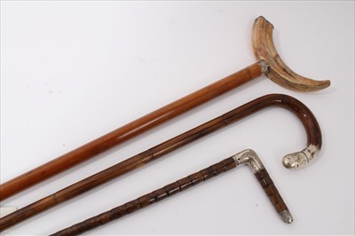 Lot 3687 - Victorian Malacca walking stick with silver collar and boar's tusk handle with silver end cap (London 1889) together with an Edwardian Partridge wood cane with silver mounts (Lodnon 1905) and one o...