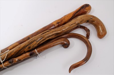 Lot 3708 - Collection of five "Naturalistic" walking sticks of various lengths including an old artisan Shepherd's crook