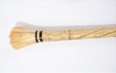 Lot 682 - Late 18th / early 19th century marine ivory walking stick, with fluted handle, ebony bands and tapering spirally carved shaft, 89cm long
