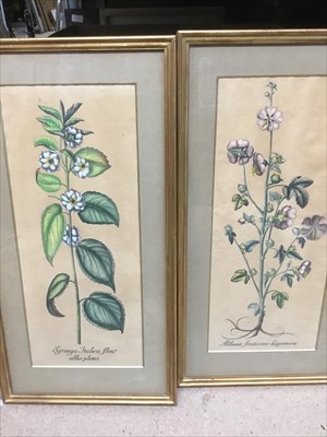 Lot 570 - Pair of decorative botanical prints