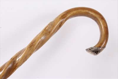 Lot 719 - Edwardian bull's pizzle walking stick, wrythen stick with crook handle and silver mount, assayed for London 1902, 90cm