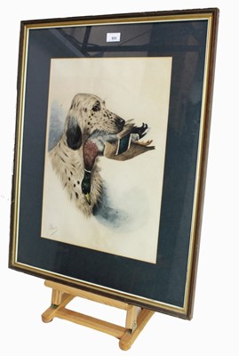 Lot 886 - Boris Riab (Russian 1898-1975) signed mixed method lithograph - a setter with dead mallard, signed in pencil lower right, in glazed frame, 50cm x 35cm