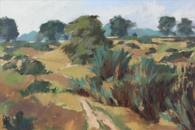 Lot 101 - David Britton, contemporary, oil on canvas - Hilly Fields, Colchester, signed, framed, 40cm x 49.5cm
