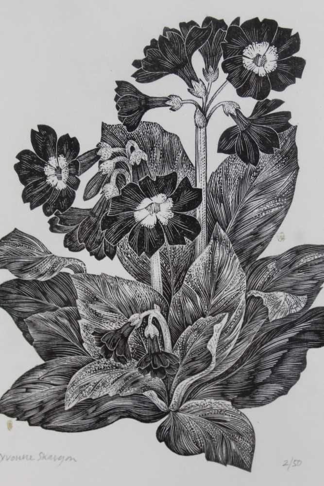 Lot 964 - Yvonne Sargon - wood engraving- Primula