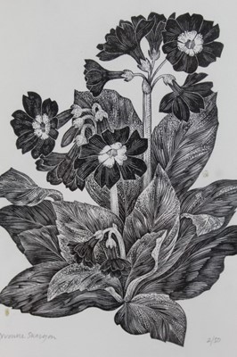 Lot 135 - Yvonne Sargon - wood engraving- Primula