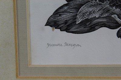 Lot 964 - Yvonne Sargon - wood engraving- Primula