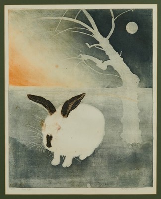 Lot 1011 - *Richard Bawden (b.1936), signed limited edition etching - a rabbit, ' Pink Eyes', 32/100, 35 x 25cm, in glazed frame