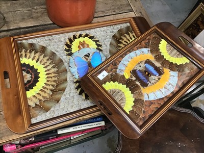 Lot 30 - 2 butterfly wing trays