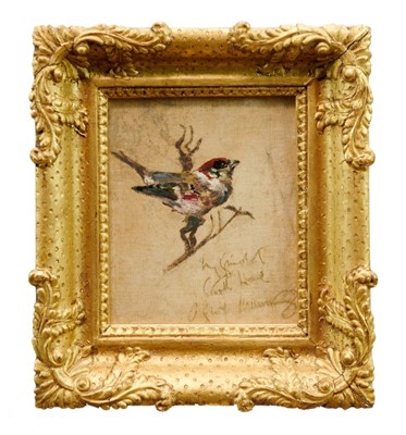 Lot 899 - *Alfred Munnings (1878-1959) oil on canvas - Sparrow, signed and indistinctly inscribed, gilt frame.