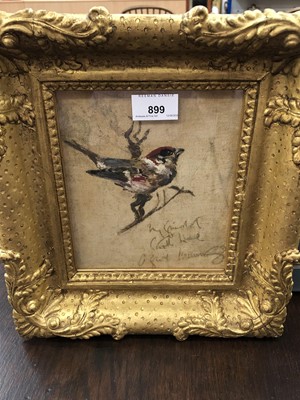 Lot 899 - *Alfred Munnings (1878-1959) oil on canvas - Sparrow, signed and indistinctly inscribed, gilt frame.