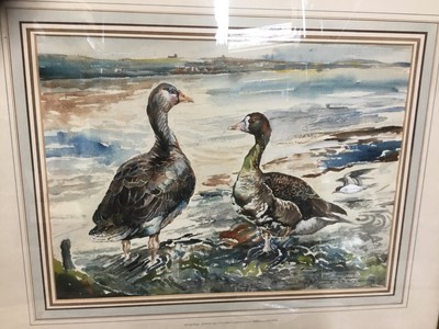 Lot 301 - After Frank Southgate watercolour geese, and other bird pictures