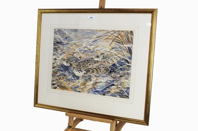 Lot 879 - Simon Trinder (Contemporary) watercolour - Pheasant and chicks.