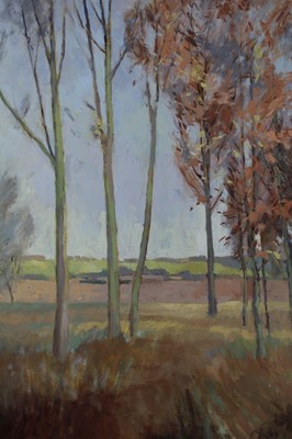 Lot 61 - David Britton , contemporary, oil on canvas - Willow Grove, Wiston (Essex), signed, framed 90cm x 75cm