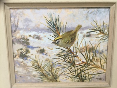 Lot 1 - Richard Tratt (b. 1953) oil on board - Goldcrest