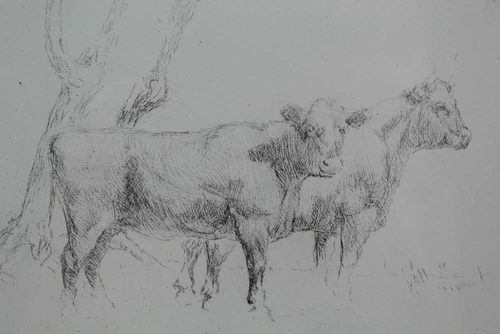 Lot 900 - Sir Alfred Munnings, three etchings