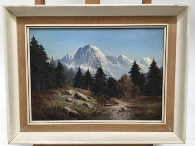Lot 62 - Douglas Falconer (1913-2004) oil on board - Glen Affric, West Scotland, signed, titled and signed verso, framed, 24cm x 34cm