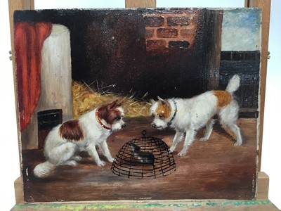 Lot 109 - Attributed to Edward Armfield (1817-1896) oil on artists board - terriers at a rat in a trap, unframed, 22cm x 28cm