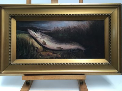 Lot 115 - English School, circa 1904, oil on board - a landed Pike, inscribed verso 'Caught at Littleport by G. P. Holt, 15lbs 3ozs. 1904', in gilt frame, 20cm x 46cm
