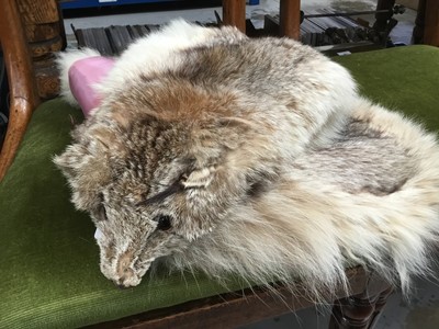 Lot 148 - Fox fur stole
