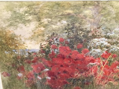 Lot 39 - Parsons Norman (1866-1945) watercolour, poppies, signed, 35 x 51cm