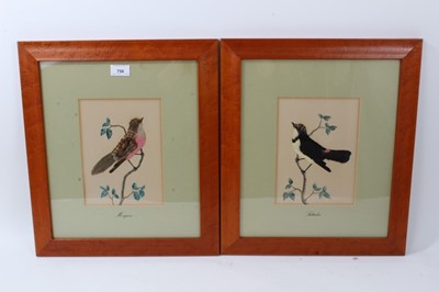 Lot 264 - Pair of 19th century style feather bird pictures