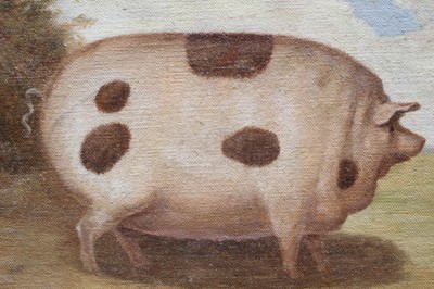 Lot 1175 - J. Box 20th Century, oil on canvas laid on board - A Prize Pig, signed