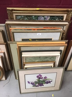 Lot 397 - Charles Clifford Turner - collection of botanical studies