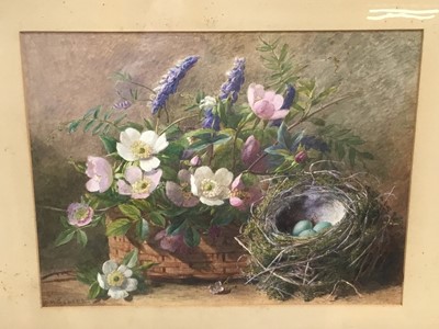 Lot 20 - Slater, late Victorian watercolour - still life of flowers and birds eggs in a nest, signed, in glazed frame