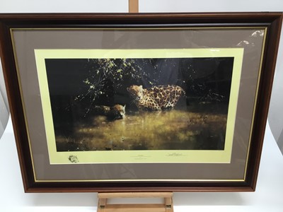 Lot 60 - Jaguars. David Shepherd